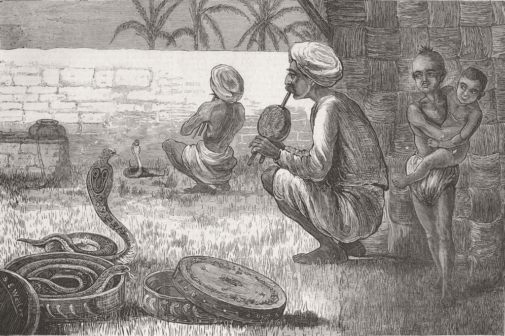 INDIA. . A Serpent Charmer 1875 old antique vintage print picture